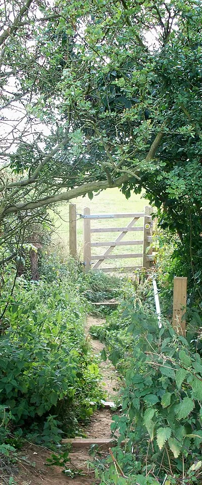 Across the ditch
