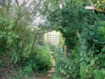 Across the ditch