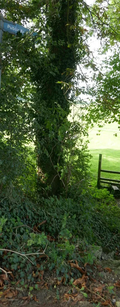 Beginning of a footpath towards Brookthorpe