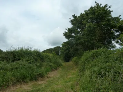 Bridleway to Cold Elm