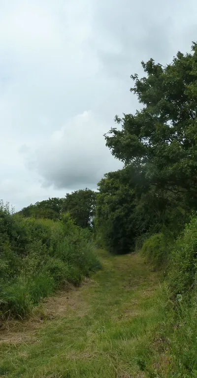 Bridleway to Cold Elm