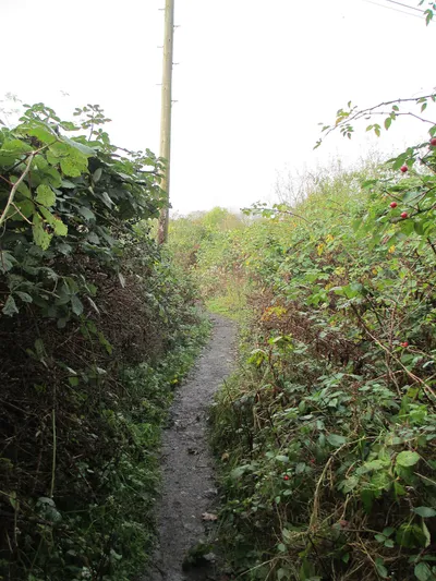 Footpath Neston