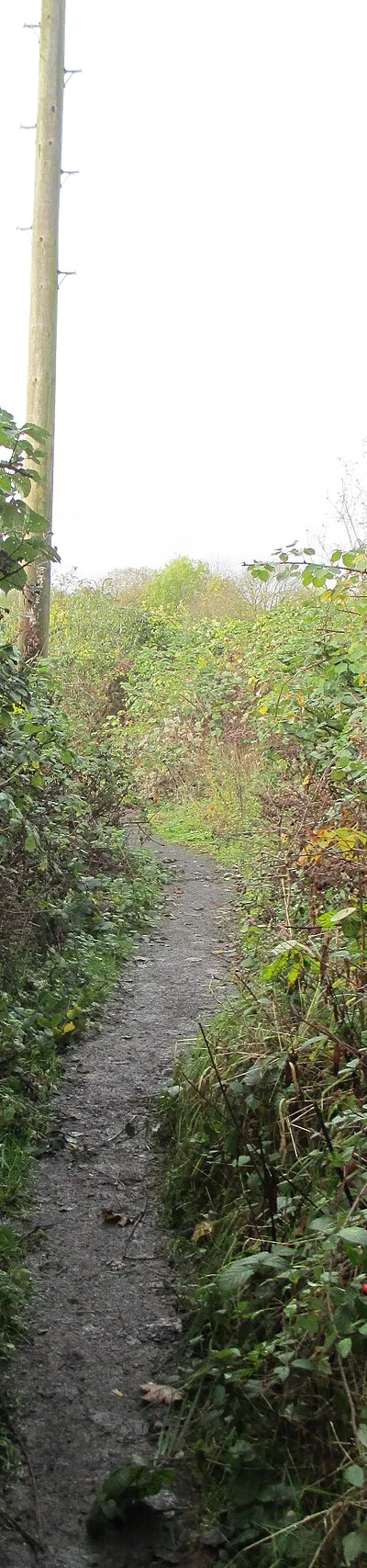 Footpath Neston