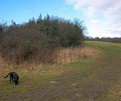 Course of Roman Road