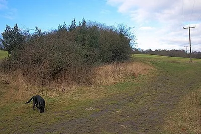Course of Roman Road