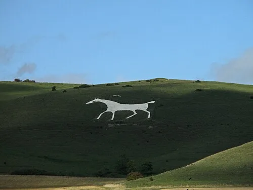 Pewsey Downs National Nature Reserve