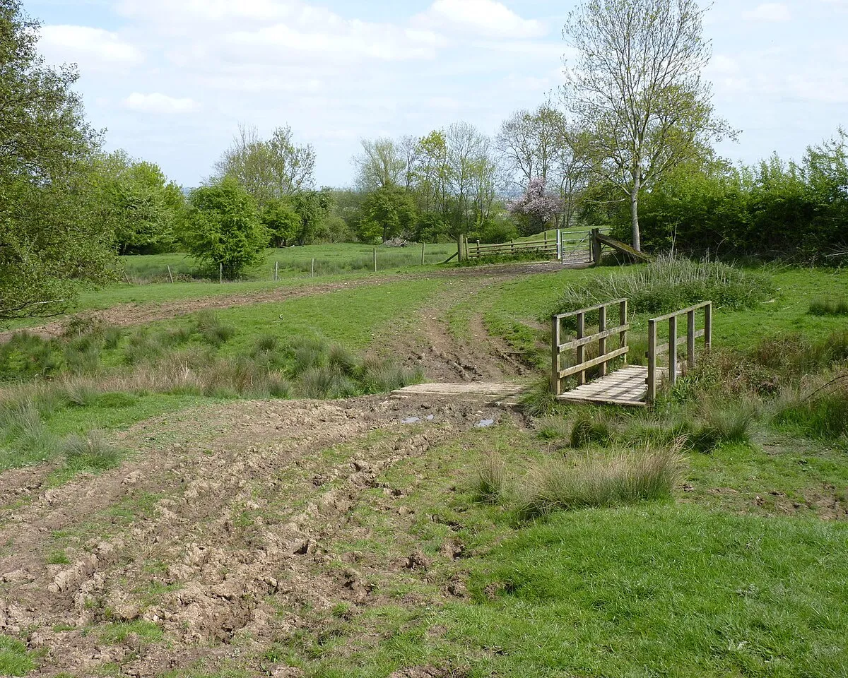 Bridge by Ailes Grove