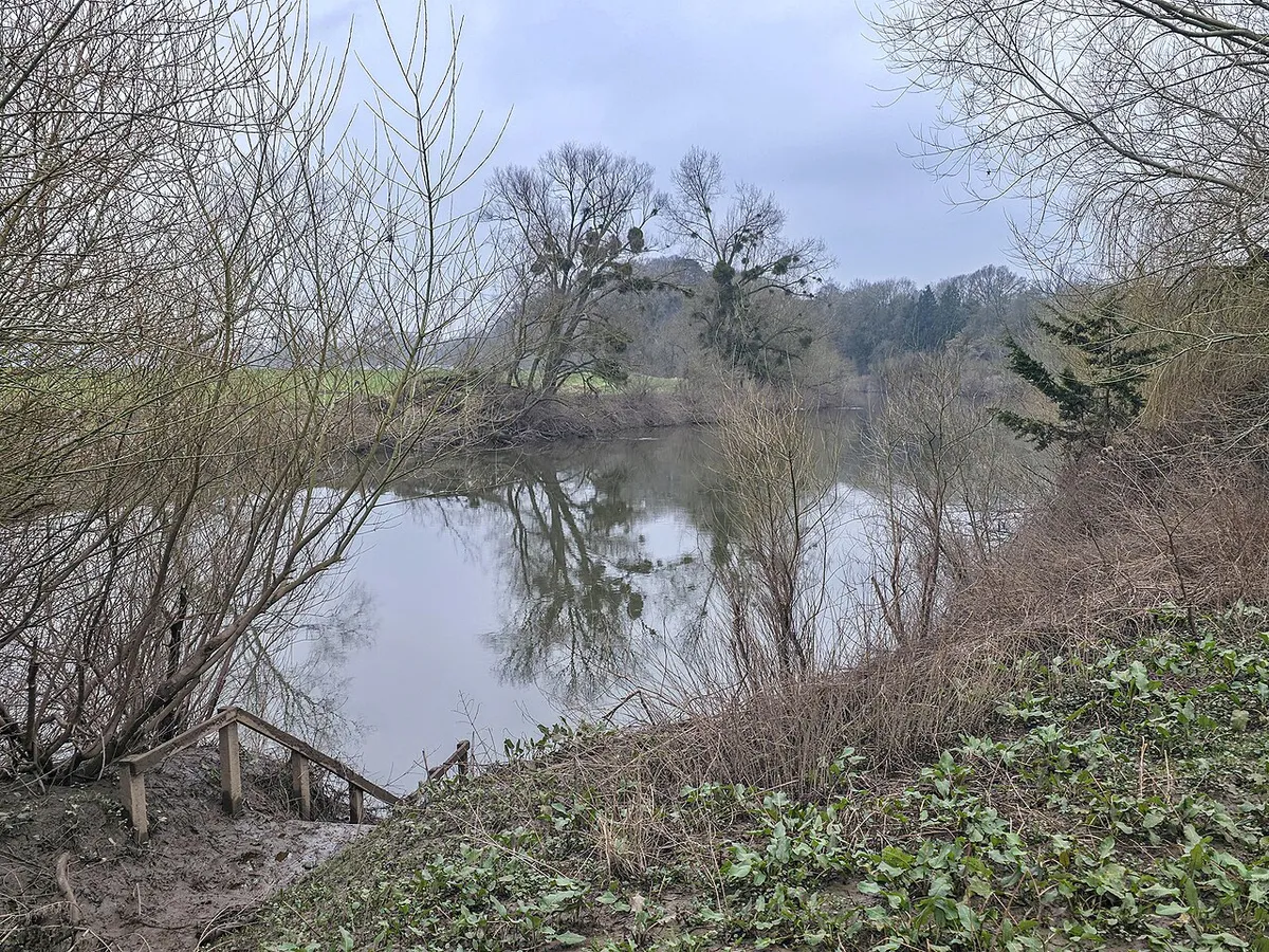 A glimpse of the river