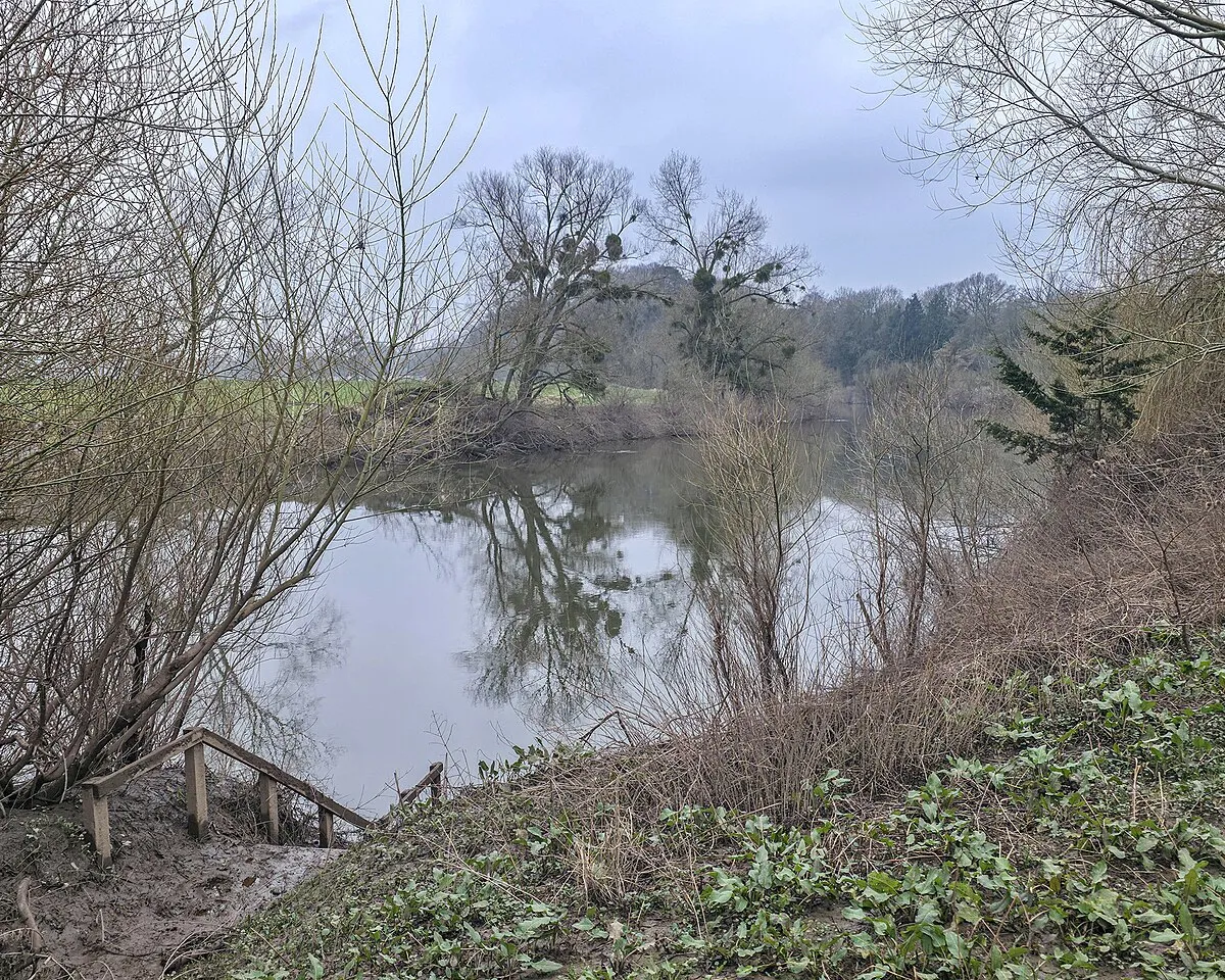 A glimpse of the river