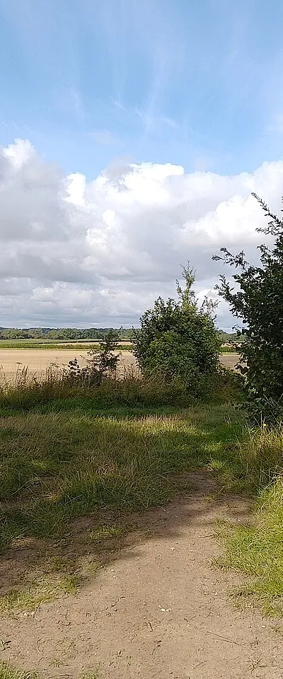 Bridleway and footpath junction