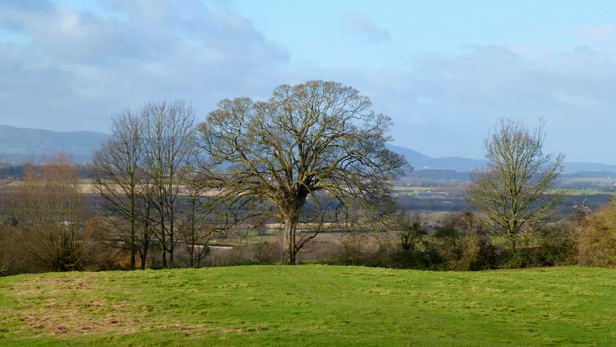 Bredon Hill's lower slopes, 1