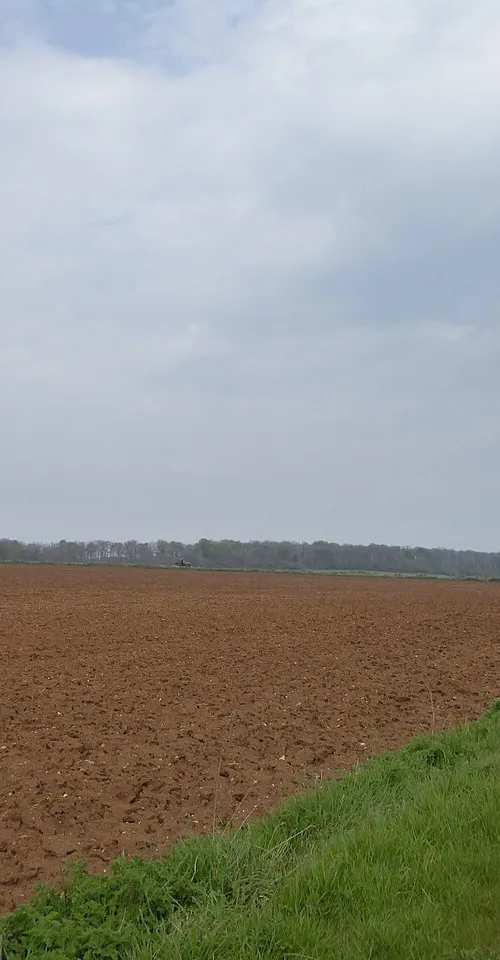 Taddington
