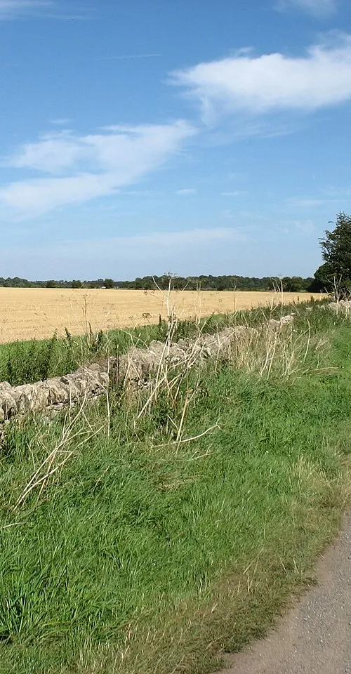 Nordown