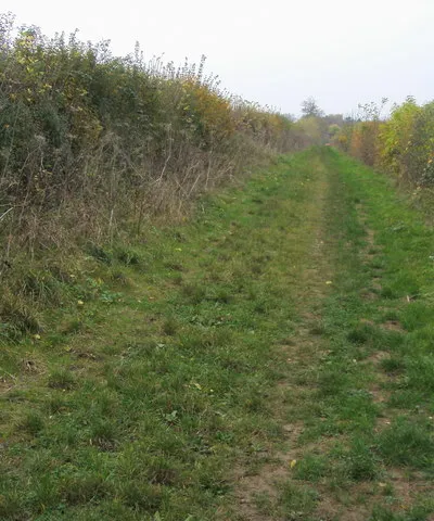 Bridleway to Chilson Hedged bridleway heading to Chilson