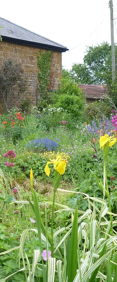 An English country garden [1]