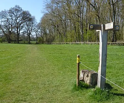 A junction of footpaths