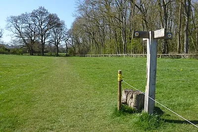 A junction of footpaths