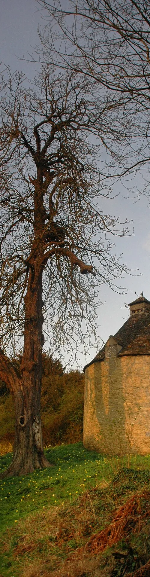 Kiddington
