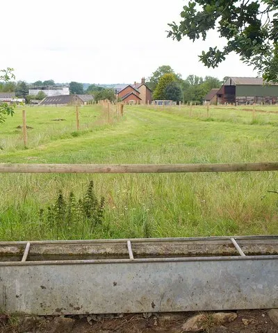 Grove Farm
