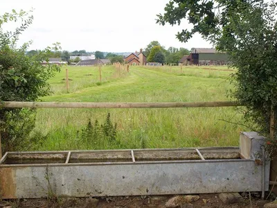 Grove Farm
