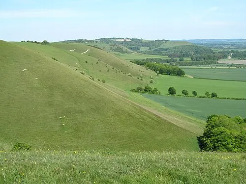 A fine downland vista