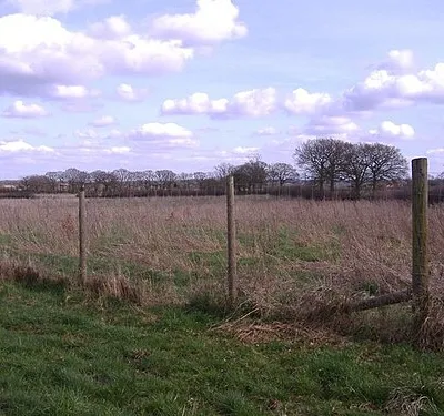 — Deer Fence — A deer fence protecting a new plantation of tree saplings. The deer fence is intending to keep deer out of the forest to protect its habitat—ecosystem from the overpopulated deer herds excessively browsing/killing the forest's diverse plant community.