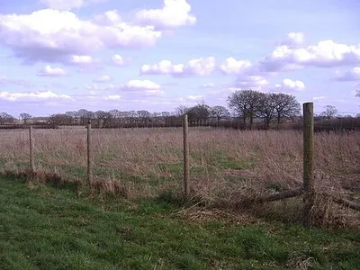 — Deer Fence — A deer fence protecting a new plantation of tree saplings. The deer fence is intending to keep deer out of the forest to protect its habitat—ecosystem from the overpopulated deer herds excessively browsing/killing the forest's diverse plant community.