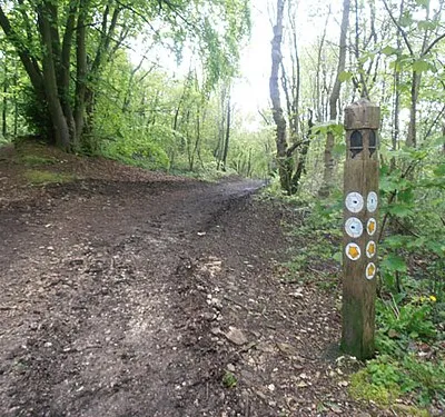 Cotswold Way 064 - Go left, not right