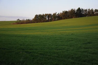 Arable land near Whiteway