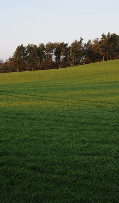 Arable land near Whiteway