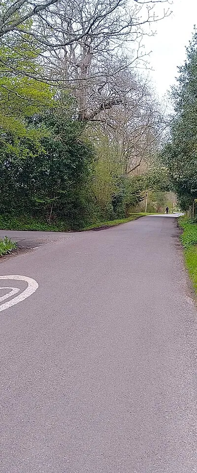 30mph speed limit on Abbey Wells Road