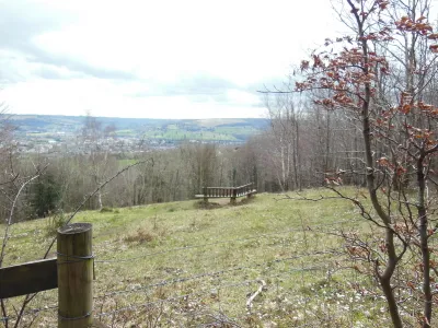 A seat with a view at Randwick Wood