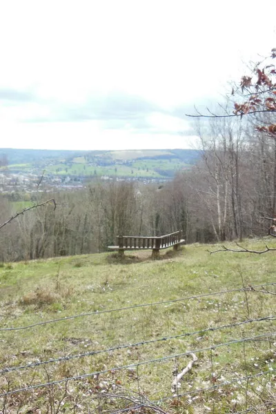 A seat with a view at Randwick Wood