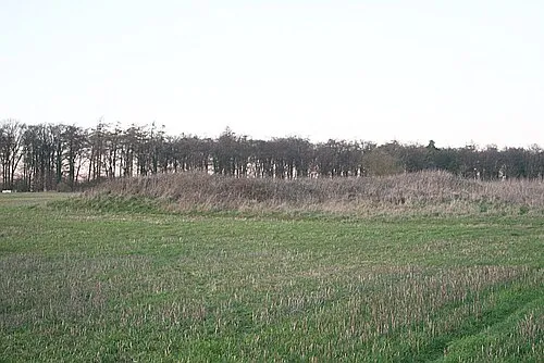 Long Barrow near Westwood Farm Located close to the track/footpath to Westwood Farm. the barrow appears to be in a very poor condition.