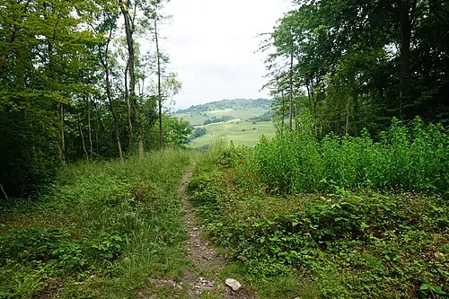 Cross Dyke