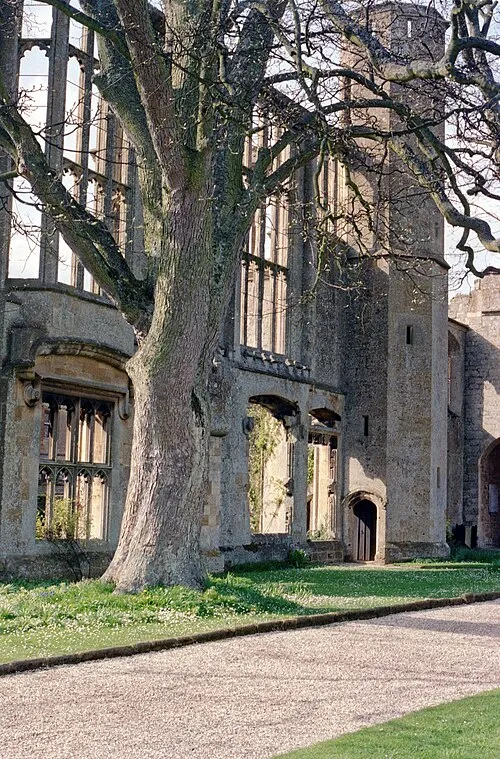 1992 Spring photograph of the gothic windows of the mid-15th century ruined castle, and a sycamore tree, at the Grade I listed Sudeley Castle, near Winchcombe, Gloucestershire, England.Processing: Analogue camera with Kodak Gold ASA 200-2 film. Negative scanned with an Epson Perfection V800 using SilverFast 8 scan program, and optimized, cropped and spun with DxO OpticsPro 10 Elite and Adobe Photoshop CS2.