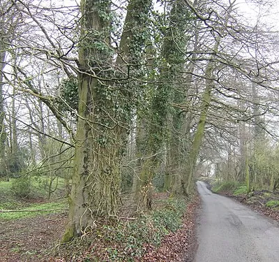 Blackquarries Hill This lane rises steeply through woods out of Wotton-under-Edge where the south Cotswold plateau has been deeply bisected be river action.