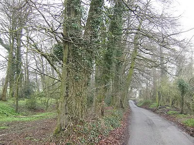 Blackquarries Hill This lane rises steeply through woods out of Wotton-under-Edge where the south Cotswold plateau has been deeply bisected be river action.