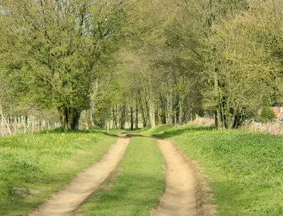 2010 : Track to Sandy Lane