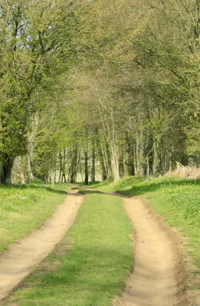 2010 : Track to Sandy Lane