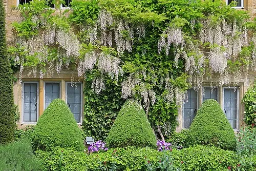 A cotswold cottage