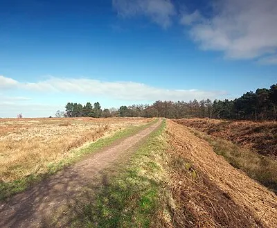 Castle Ring, Cannock Chase, Staffordshire, UK. View from the south east of the Iron Age Hill Fort showing ramparts either side.