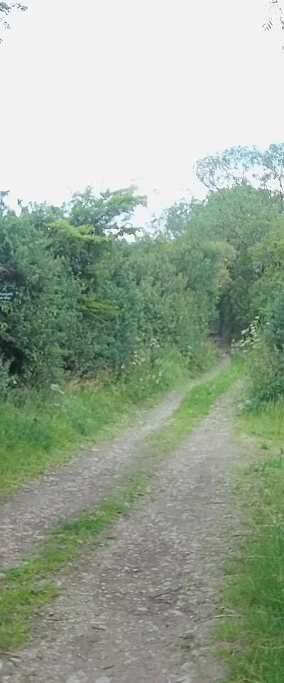 Bridleway and path