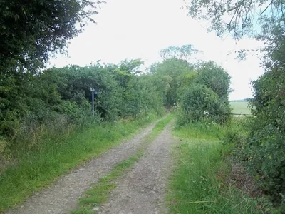 Bridleway and path