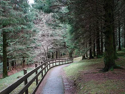 The start of the Severn Way Walk from Rhyd-y-benwch. The whole of the Severn Way from Rhyd-y-benwch to the Source has been upgraded for easier walking. The first few hundred yards has been improved to Accessibility standards. For more information about my walk in this area see 1121692.