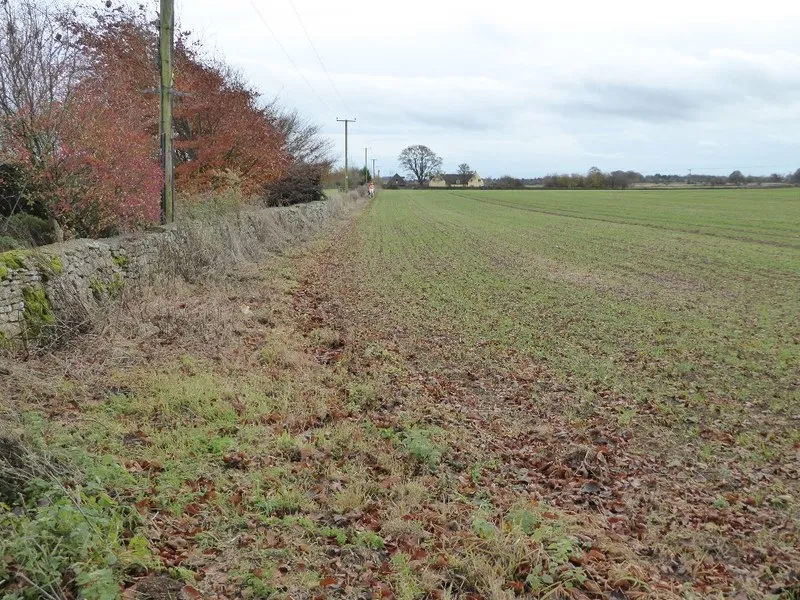 Arable field near Peaches Farm
