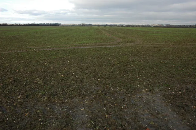 Arable land at Throckmorton A large field between Throckmorton and Bishampton of recently planted winter cereals.