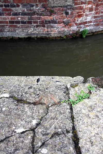 Benchmark on canal bank at Bridge 238