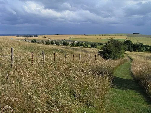 Morgan's Hill