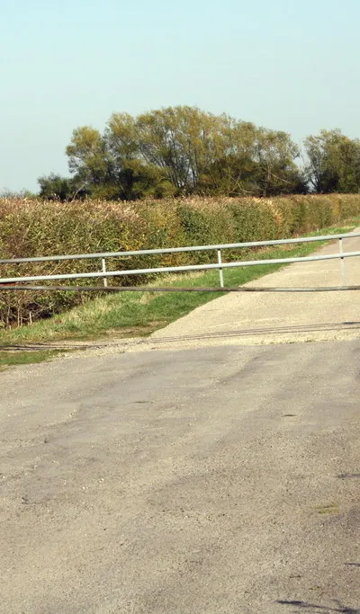 Bridleway (concrete road) leading to Common Barn